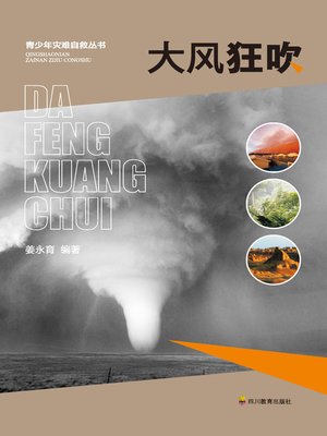 cover image of 大风狂吹